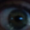 eric_bradburn
